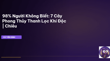 cây phong thủy