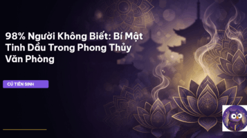 tinh dầu phong thủy