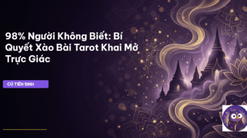 xào bài Tarot