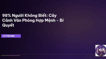 phong thủy cây cảnh văn phòng