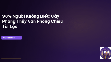 phong thủy sân vườn
