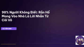 mơ thấy rắn hổ mang