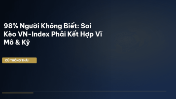 VN-Index