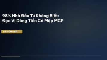 mcp whale-activity