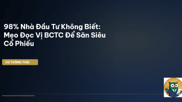 chỉ số tài chính bctc