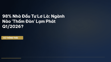 báo cáo tài chính Q1 2026