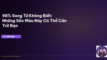 Song Tử