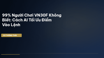 tối ưu hóa vn30f