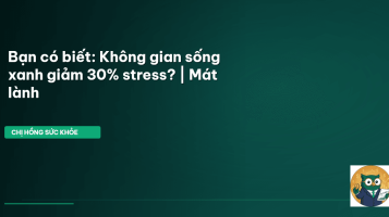 không gian sống xanh