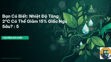 mất ngủ mùa hè