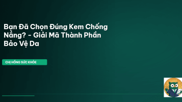 thành phần kem chống nắng