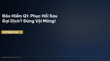 bảo hiểm q1