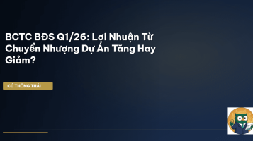BCTC BĐS Q1/26