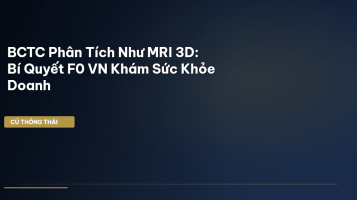 bctc phân tích