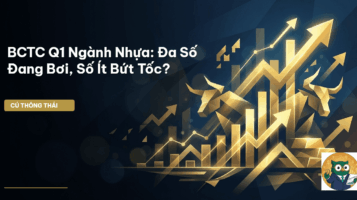 BCTC Q1 Ngành Nhựa