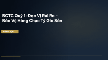 báo cáo tài chính quý 1