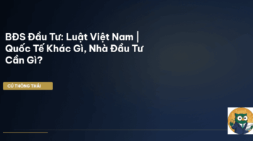 luật BĐS Việt Nam