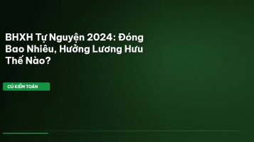 BHXH tự nguyện 2024