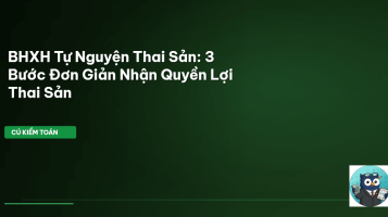 BHXH tự nguyện thai sản