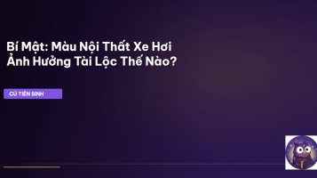 phong thủy xe hơi
