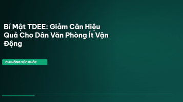 TDEE dân văn phòng