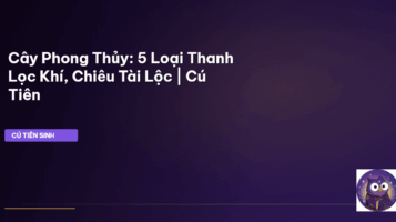 cây phong thủy