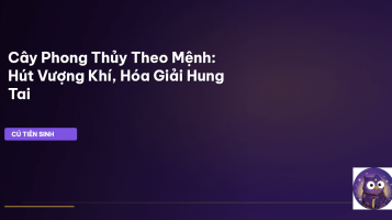 cây phong thủy theo mệnh