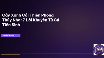 phong thủy nhà ở cây xanh