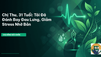 bản đồ giác ngộ