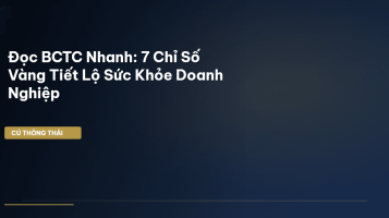 đọc bctc nhanh