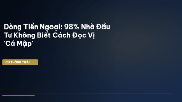 dòng tiền ngoại