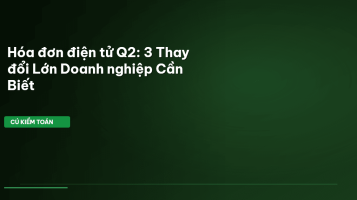 hóa đơn điện tử q2