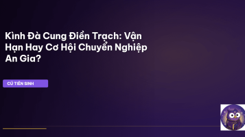 Cung Điền Trạch