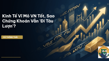 kinh tế vĩ mô vn