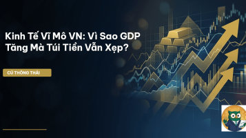 kinh tế vĩ mô vn