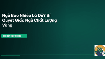 giấc ngủ chất lượng