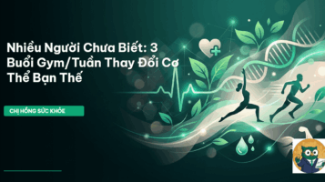 lịch tập gym 3 buổi