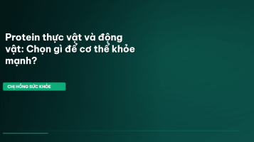 protein thực vật