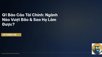 báo cáo tài chính Q1