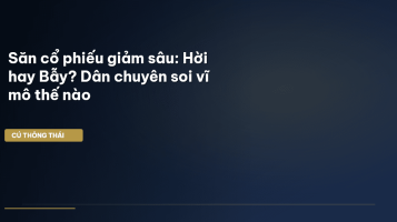săn cổ phiếu giảm sâu
