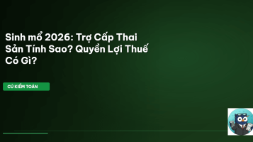 trợ cấp thai sản
