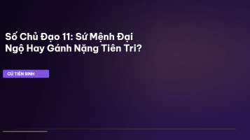 Số Chủ Đạo 11