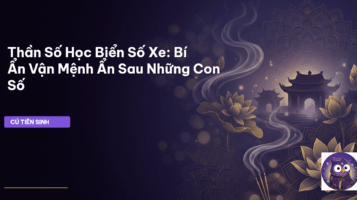 thần số học biển số xe