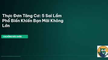 thực đơn tăng cơ