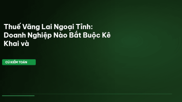 thuế vãng lai ngoại tỉnh