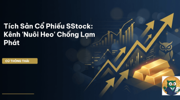 tích sản cổ phiếu