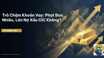 trả chậm khoản vay