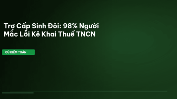 trợ cấp sinh đôi