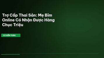 trợ cấp thai sản