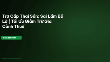 trợ cấp thai sản